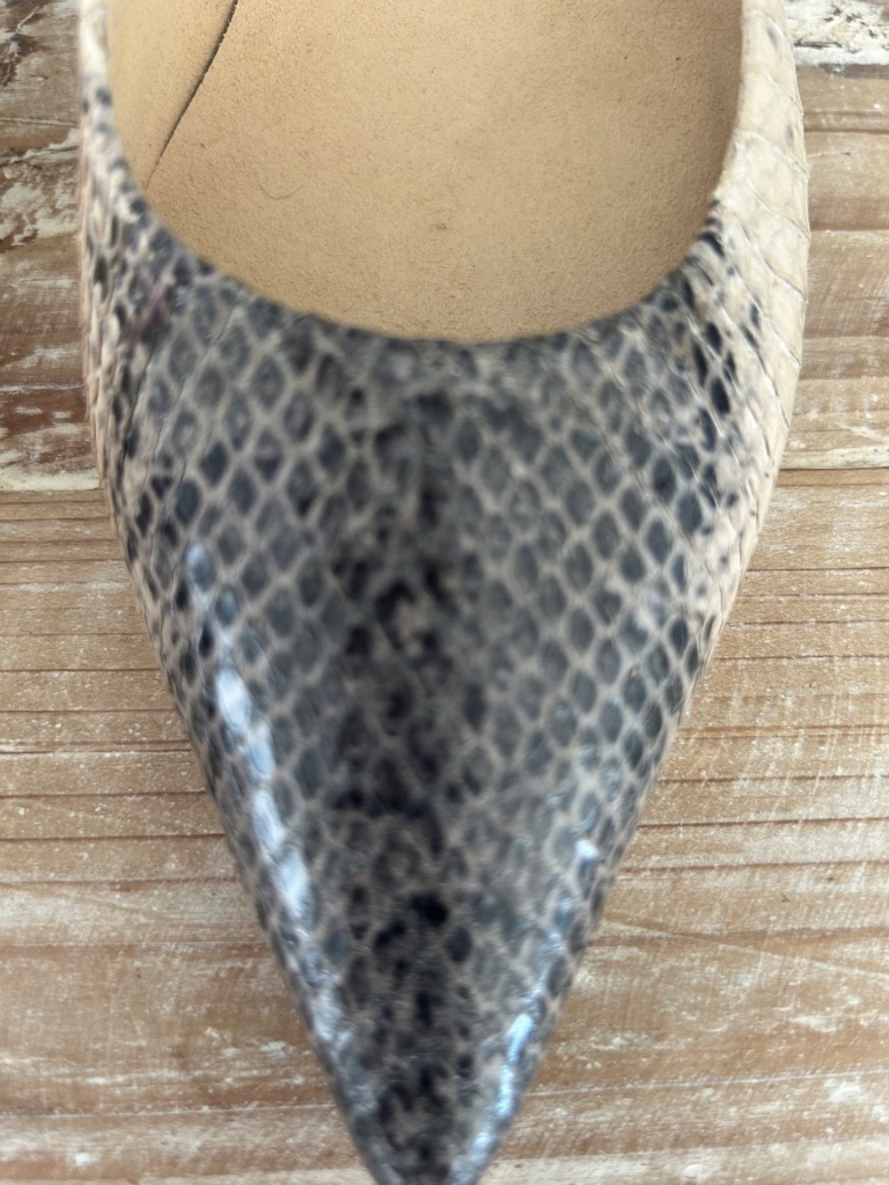 NWOB Stuart Wetizman Poco Snake Print Leather Kitten Heel in Grey & Cream Sz 9 - Picture 2 of 7